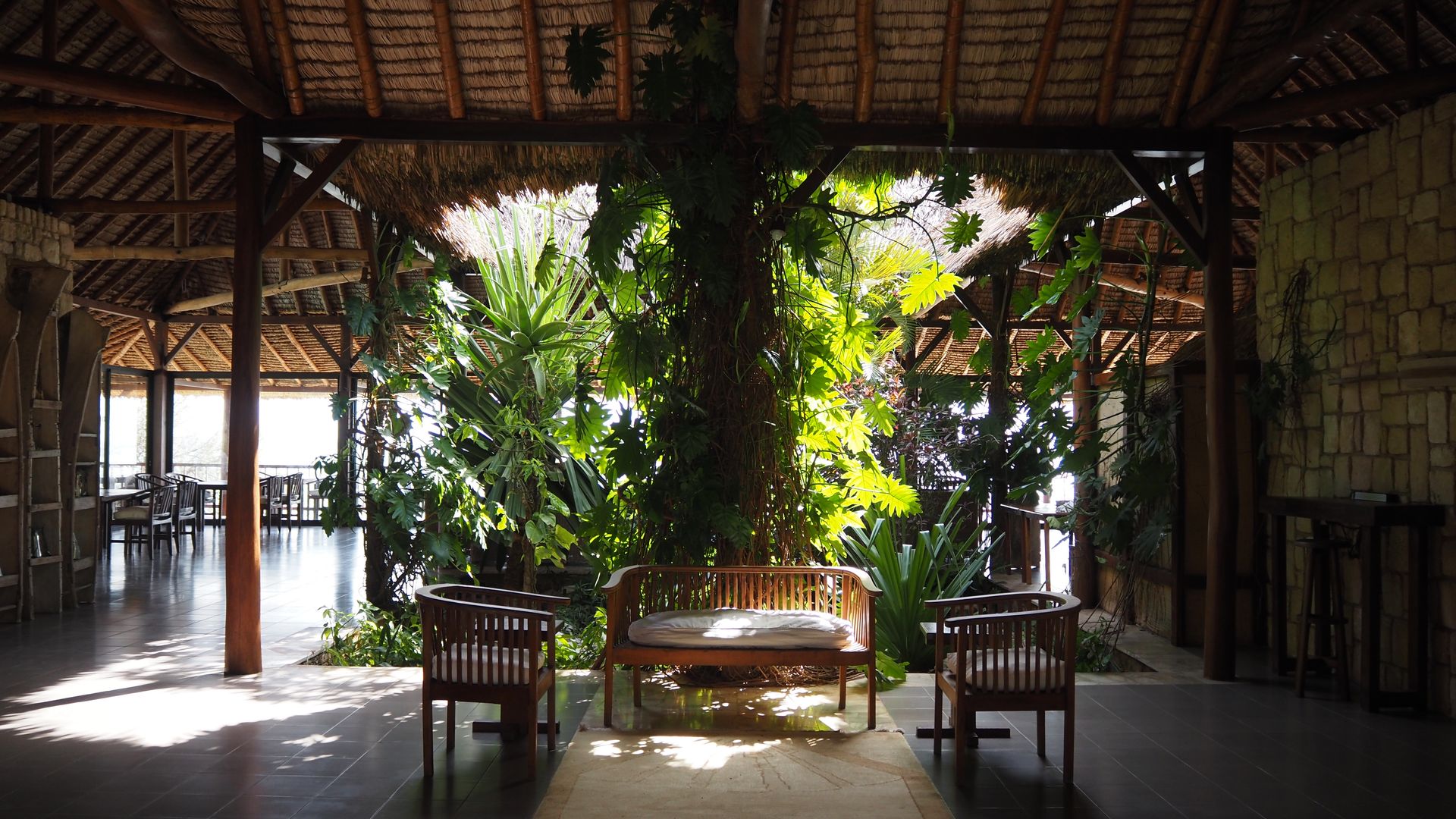 Le Paradisier » Matoke